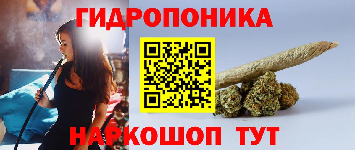 Бошки марихуана план Нальчик